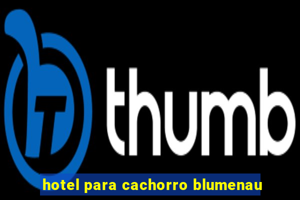 hotel para cachorro blumenau